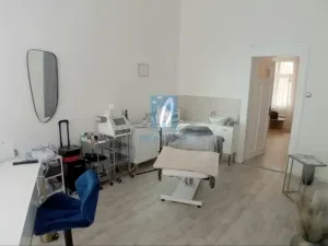 Pronájem komerční nemovitosti, Plzeň, Perlová, 45 m2