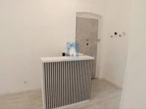 Pronájem komerční nemovitosti, Plzeň, Perlová, 45 m2