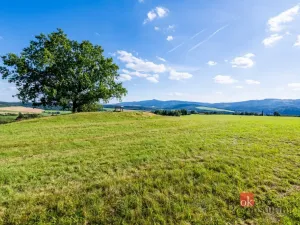 Prodej pole, Chrastava - Horní Chrastava, Frýdlantská, 11539 m2