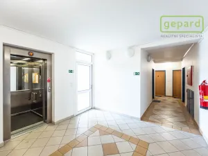 Prodej bytu 3+kk, Praha, Wiesenthalova, 80 m2