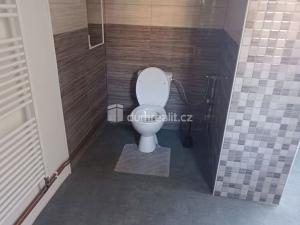 Prodej bytu 1+1, Děčín - Děčín IV-Podmokly, Teplická, 93 m2