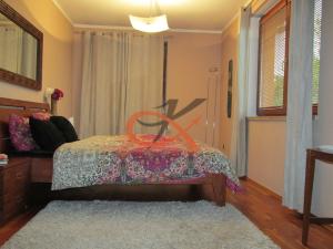 Pronájem rodinného domu, Krhová, Na Nivách, 300 m2