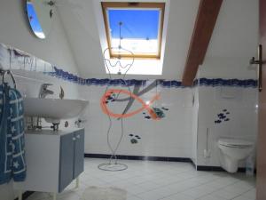 Pronájem rodinného domu, Krhová, Na Nivách, 300 m2