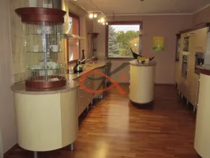 Pronájem rodinného domu, Krhová, Na Nivách, 300 m2