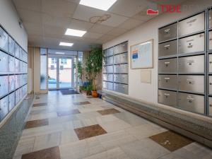 Prodej bytu 3+1, Praha - Malešice, Limuzská, 69 m2