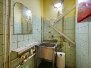 Pronájem obchodního prostoru, Třemošná, Plzeňská, 133 m2