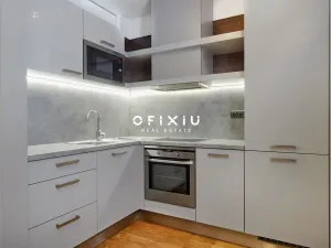 Pronájem bytu 1+kk, Brno - Staré Brno, Kopečná, 39 m2