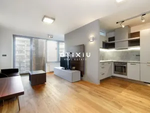 Pronájem bytu 1+kk, Brno - Staré Brno, Kopečná, 39 m2