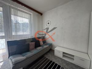 Pronájem bytu 1+kk, Rožnov pod Radhoštěm, Průkopnická, 28 m2