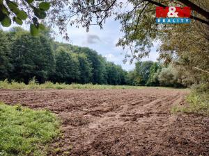 Prodej pole, Libořice, 5882 m2