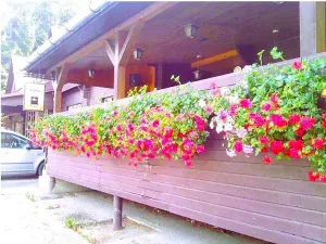 Prodej restaurace, Valašské Klobouky, 600 m2