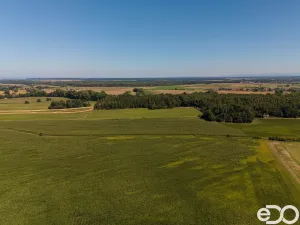 Prodej chaty, Ráby, 30 m2