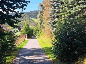 Prodej pozemku pro bydlení, Loučná nad Desnou, 1123 m2