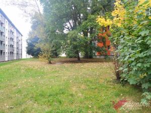 Pronájem bytu 3+kk, Milovice - Mladá, Komenského, 45 m2