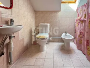 Prodej rodinného domu, Dětmarovice, 350 m2