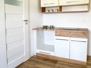 Prodej rodinného domu, Dětmarovice, 350 m2