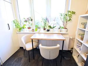 Prodej bytu 2+1, Chomutov, Zadní Vinohrady, 62 m2