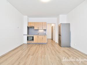 Pronájem bytu 1+kk, Brno, Svitavská, 33 m2