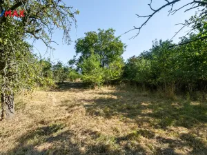 Prodej rodinného domu, Vraný, 125 m2