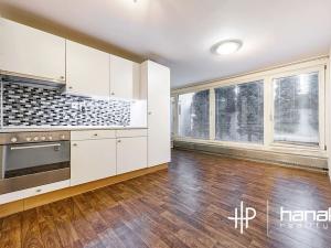 Prodej bytu 1+kk, Šternberk, Labutí, 31 m2
