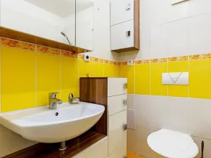 Prodej bytu 1+kk, Šternberk, Labutí, 31 m2