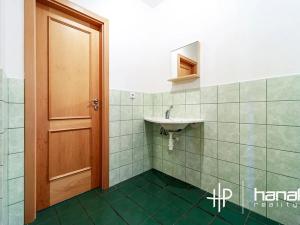 Pronájem rodinného domu, Strančice, 259 m2