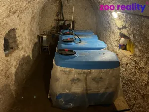 Prodej vícegeneračního domu, Býčkovice, 160 m2