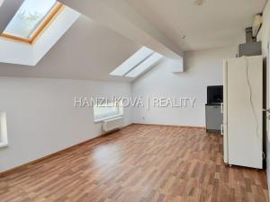 Pronájem bytu 1+kk, České Budějovice, Pekárenská, 42 m2