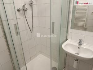Pronájem bytu 1+kk, Praha - Vršovice, Na spojce, 20 m2