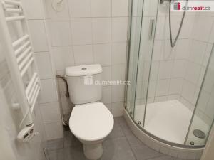 Pronájem bytu 1+kk, Praha - Vršovice, Na spojce, 20 m2