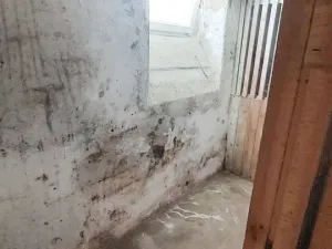Prodej bytu 1+1, Aš, Textilní, 39 m2