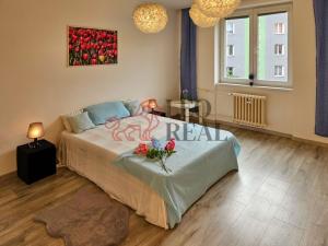 Prodej bytu 2+1, Olomouc - Hodolany, Jeremenkova, 50 m2