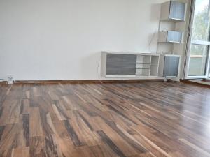 Prodej bytu 1+1, Břidličná, Nerudova, 37 m2