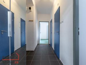 Pronájem bytu 2+1, Plzeň - Východní Předměstí, Habrmannova, 50 m2