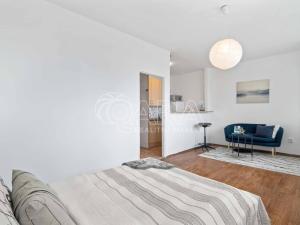 Prodej bytu 1+kk, Praha - Strašnice, Černokostelecká, 26 m2