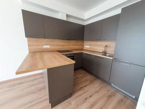 Pronájem bytu 1+kk, Brno, Plotní, 49 m2