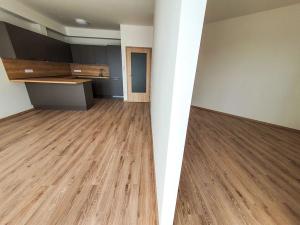 Pronájem bytu 1+kk, Brno, Plotní, 49 m2