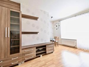 Pronájem bytu 1+kk, Brno - Starý Lískovec, U Leskavy, 33 m2