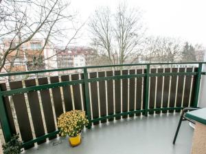 Pronájem bytu 3+1, Brno - Kohoutovice, Bellova, 80 m2