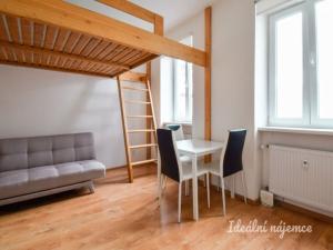 Pronájem bytu 1+kk, Brno - Zábrdovice, Stará, 22 m2