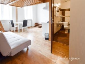 Pronájem bytu 1+kk, Brno - Zábrdovice, Stará, 22 m2