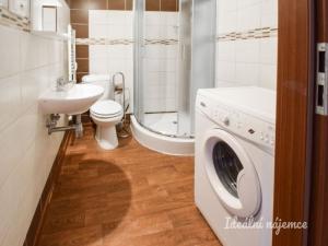 Pronájem bytu 1+kk, Brno - Zábrdovice, Stará, 22 m2