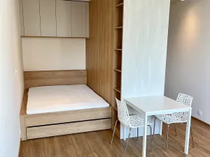 Pronájem bytu 1+kk, Brno, Placzkova, 33 m2