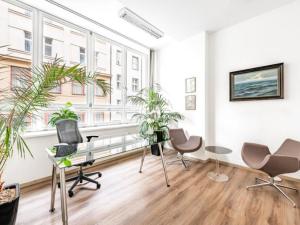 Pronájem kanceláře, Praha - Staré Město, Rybná, 150 m2