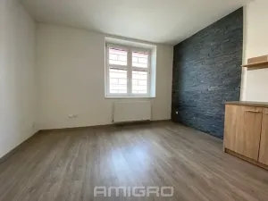 Pronájem bytu 1+kk, Brno, Životského, 24 m2