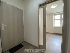 Pronájem bytu 1+kk, Brno, Životského, 24 m2