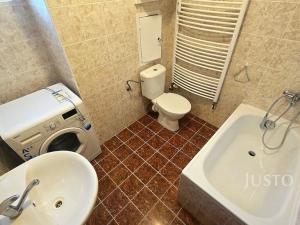 Pronájem bytu 1+kk, Písek - Pražské Předměstí, Přemyslova, 27 m2