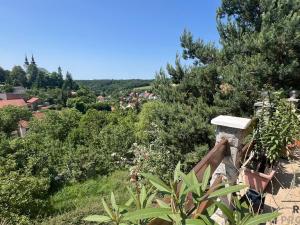 Prodej rodinného domu, Vranov, 242 m2