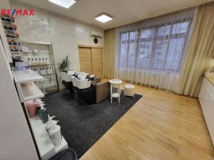 Prodej ubytování, Znojmo, Havlíčkova, 537 m2