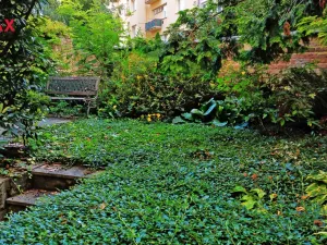 Prodej kanceláře, Znojmo, Havlíčkova, 537 m2